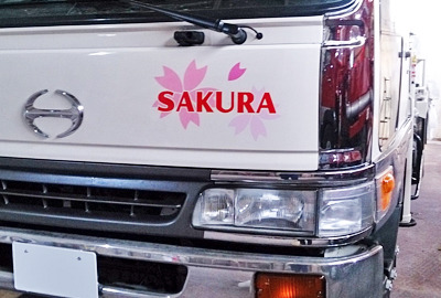 160608sakura01.jpg